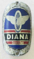 Diana-Graenichen.jpg